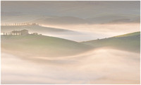 Mist over the rolling hills